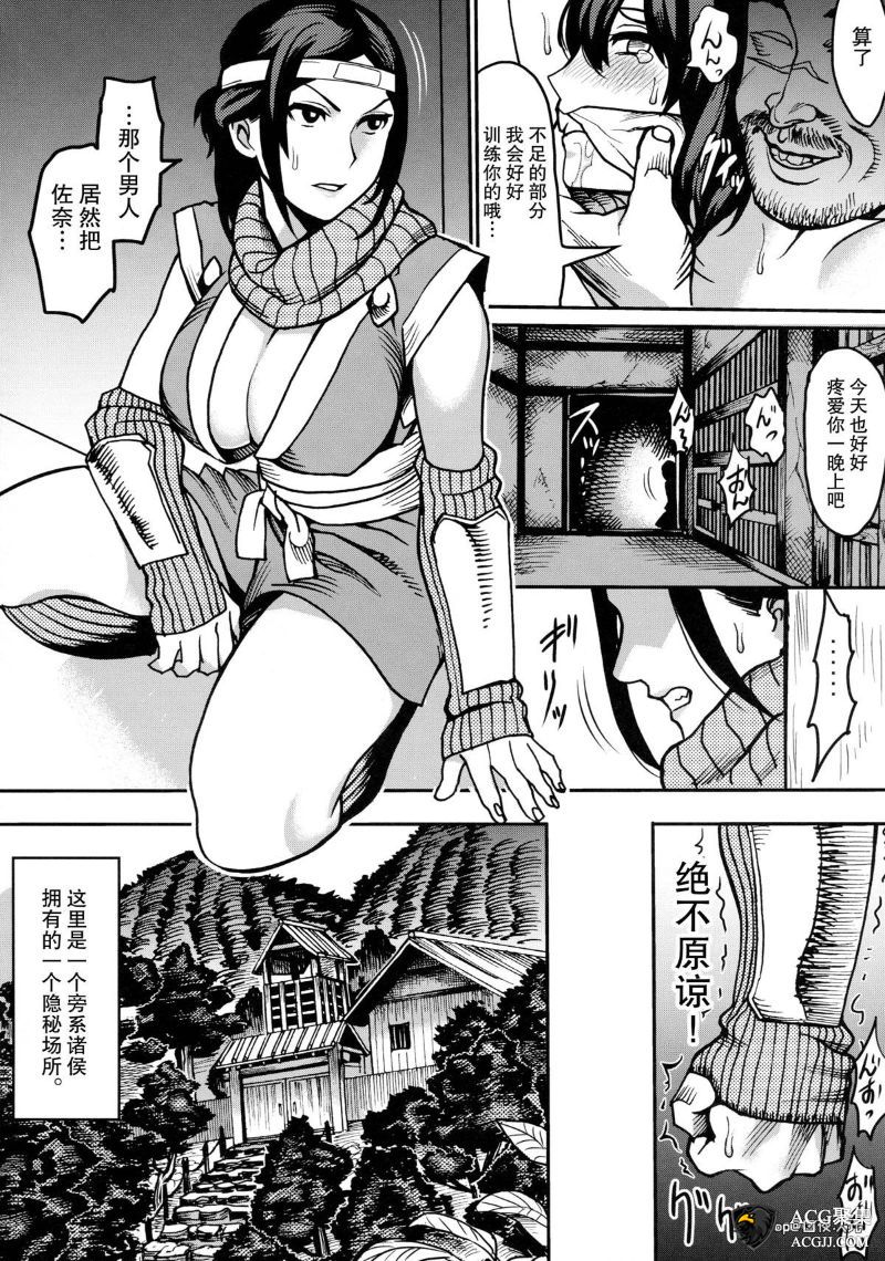 【2D同人】女忍房术法 8本全汉化合集